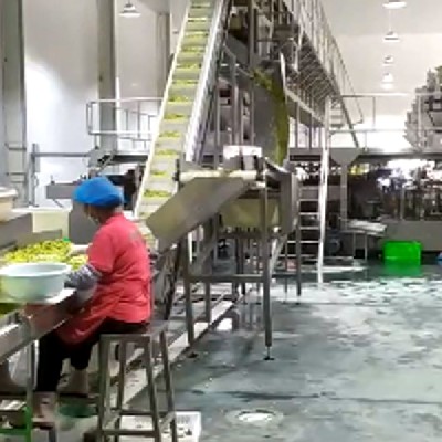 大傾角提升機(jī)