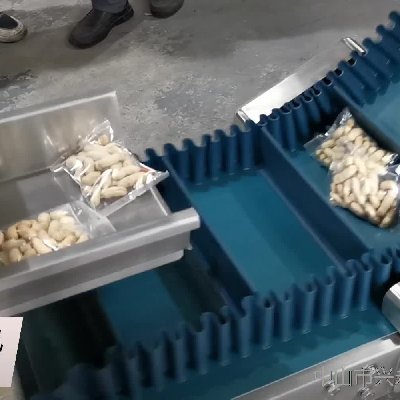 傾斜式輸送機(jī)